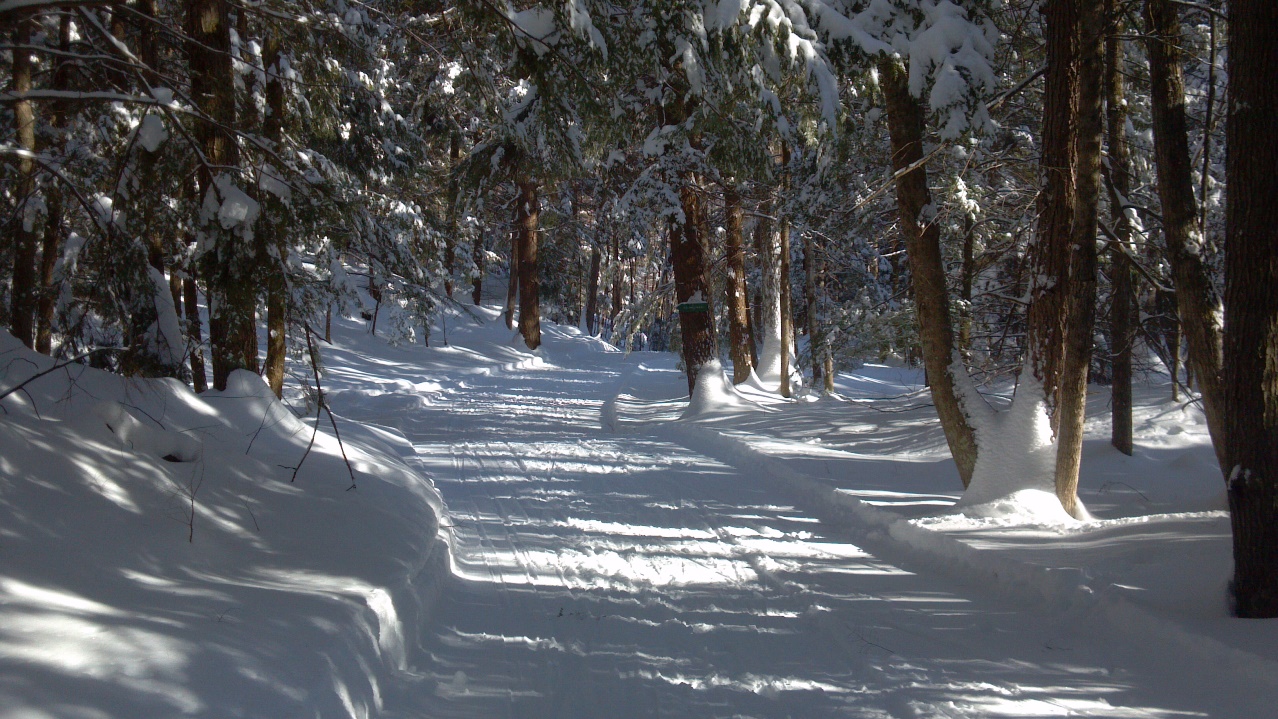 Cross Country Ski Trails in Plainfield