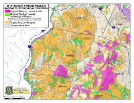 Wildlife Action Plan Habitat of State-wide or Town-wide importance.